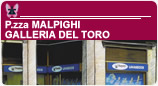 Lavasecco Piazza Malpighi - Galleria del Toro